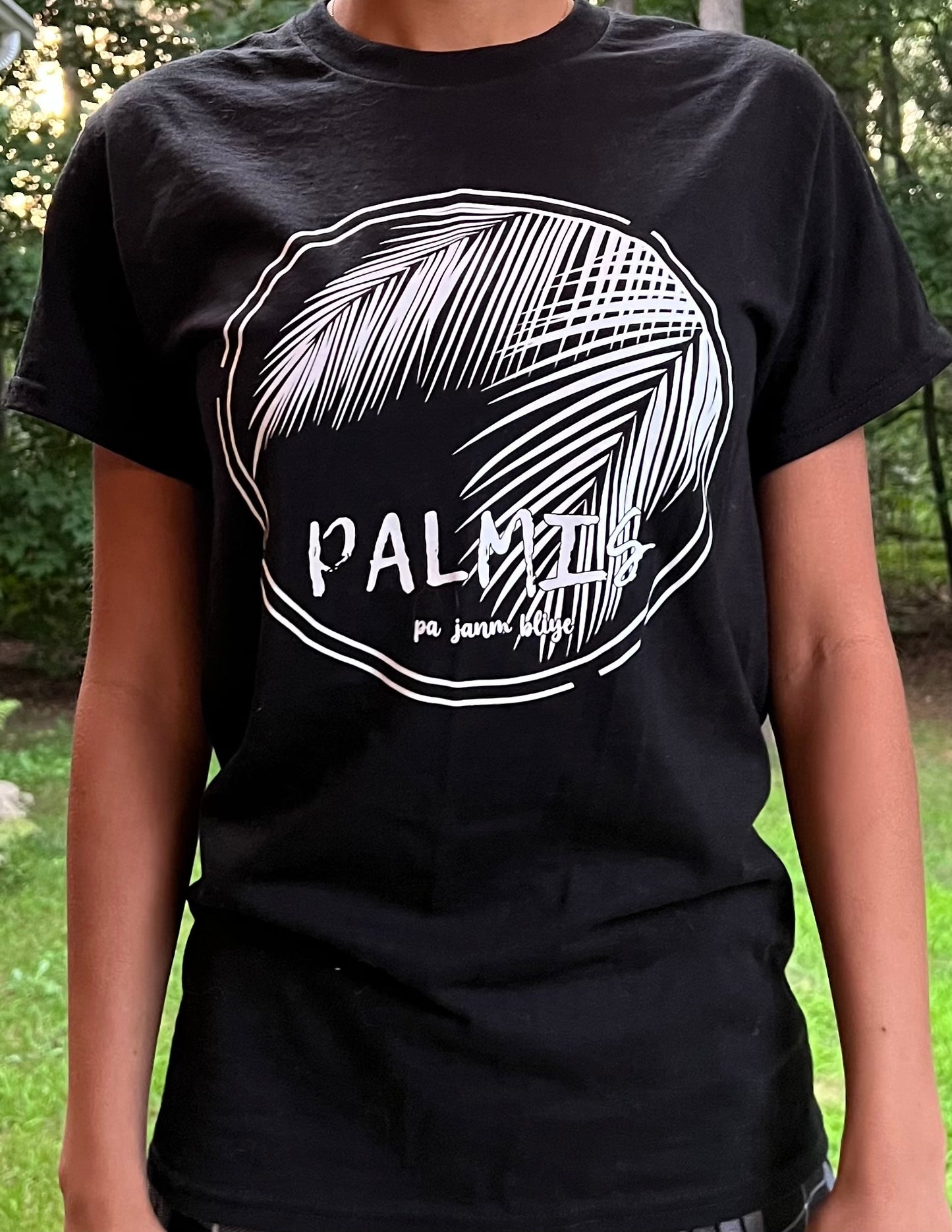 Mayo Palmis | Pa janm bliye